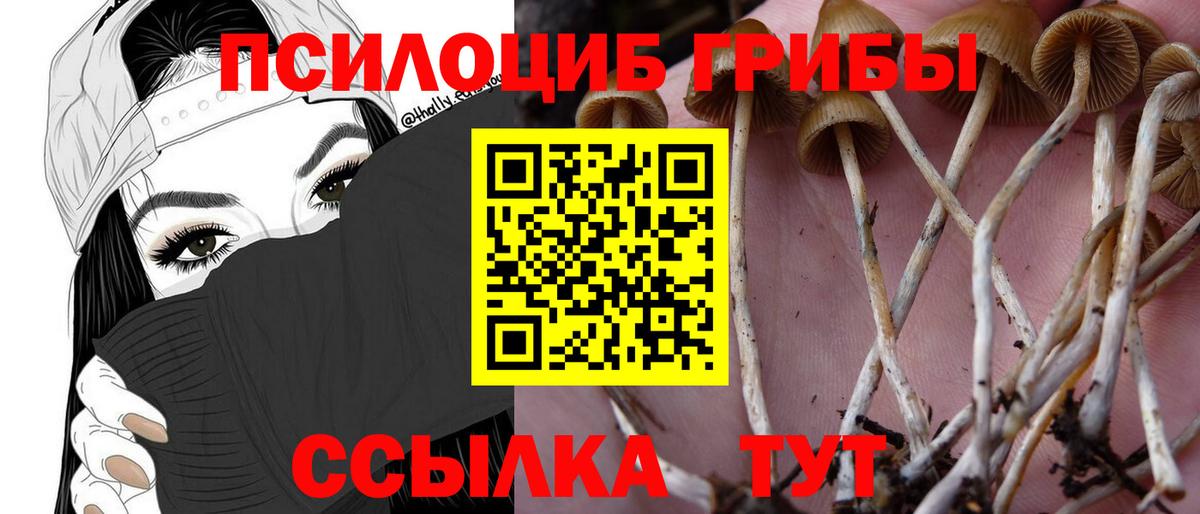 Псилоцибиновые грибы Cubensis  Вход с VPN  Псилоцибиновые грибы мицелий  Ликино-Дулёво 